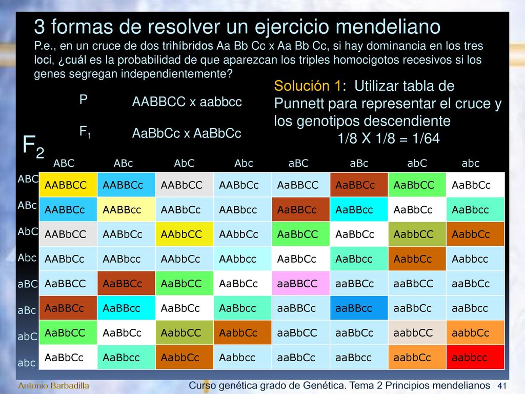 Probabilidad de fenotipos y genotipos descendientes de cruces mendelianos
