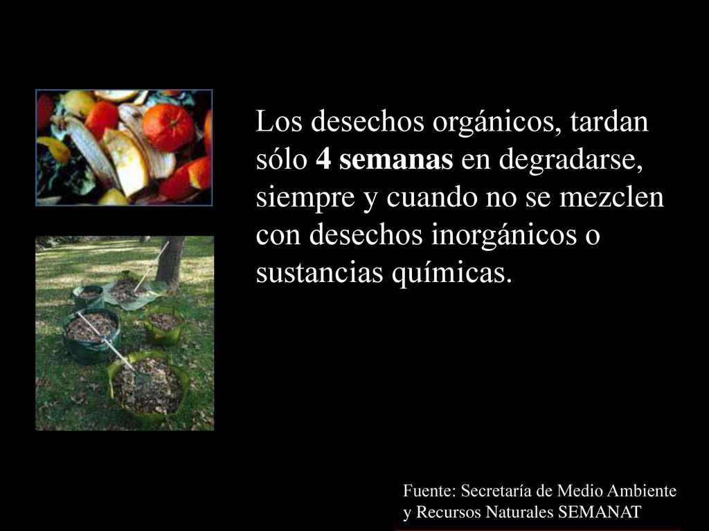 Los desechos orgánicos, tardan sólo 4 semanas en degradarse,
