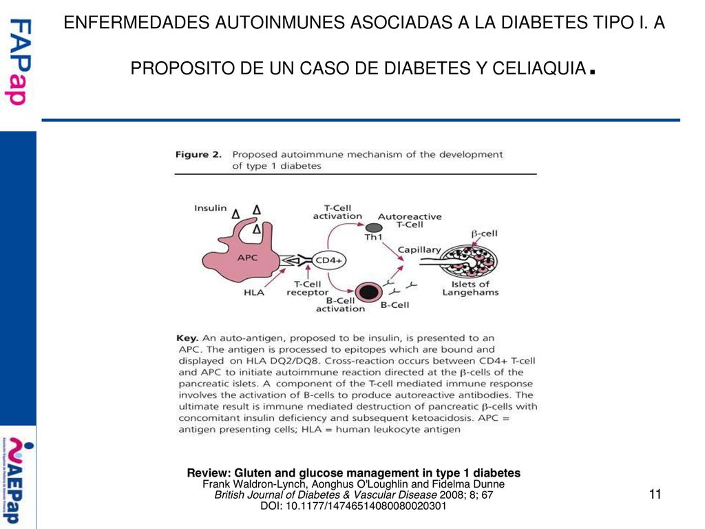 ENFERMEDADES AUTOINMUNES ASOCIADAS A LA DIABETES TIPO I