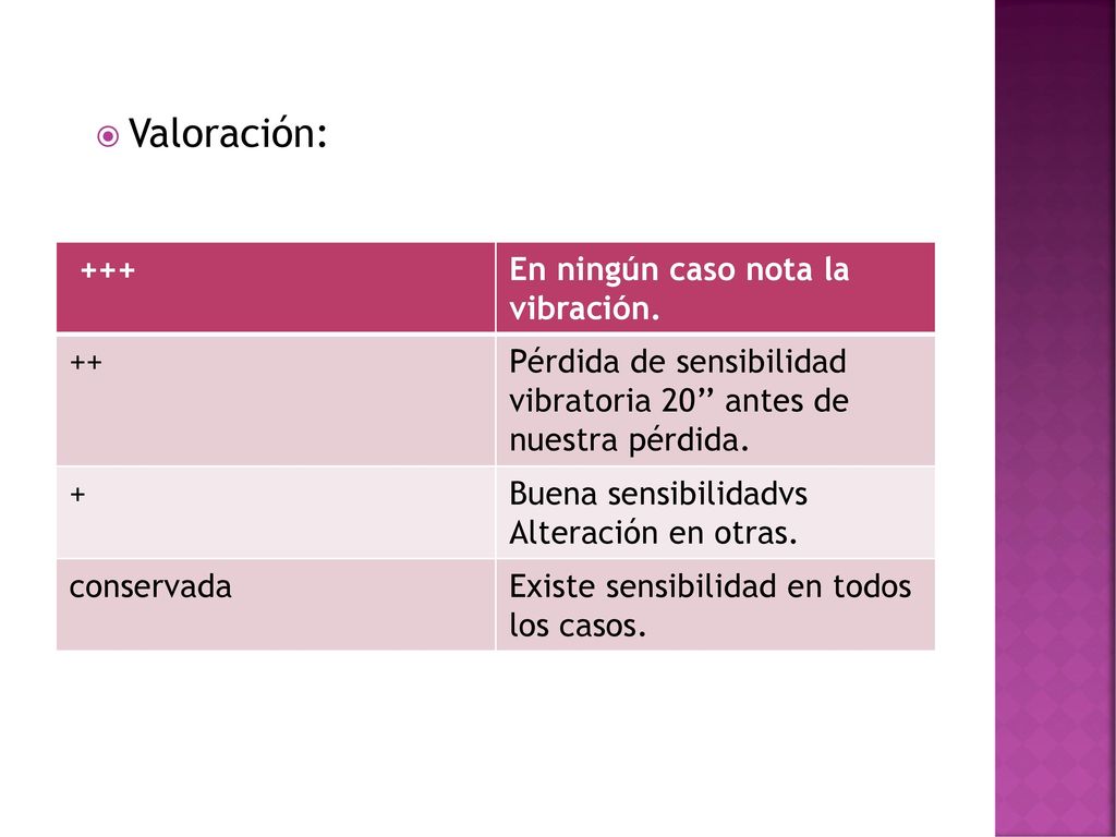Valoración: +++ En ningún caso nota la vibración. ++