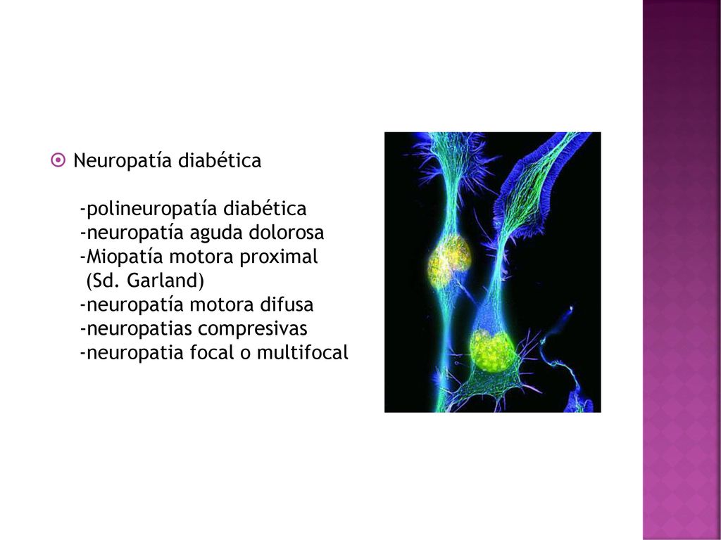 Neuropatía diabética -polineuropatía diabética. -neuropatía aguda dolorosa. -Miopatía motora proximal.