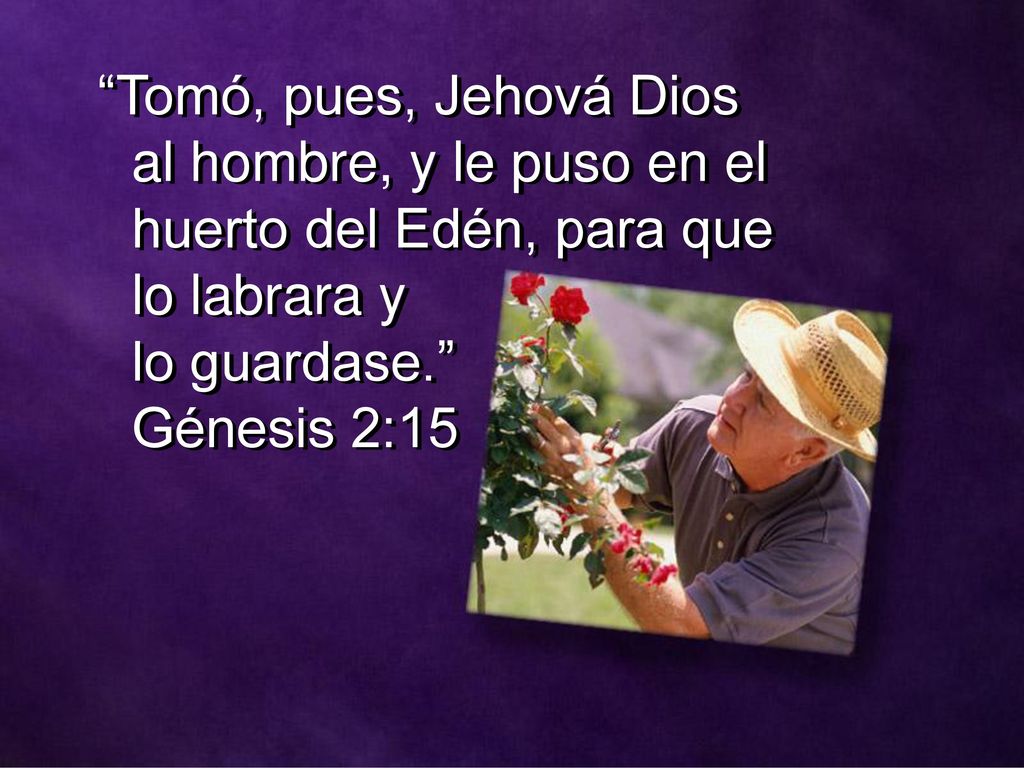 Tomó, pues, Jehová Dios al hombre, y le puso en el huerto del Edén, para que lo labrara y lo guardase. Génesis 2:15