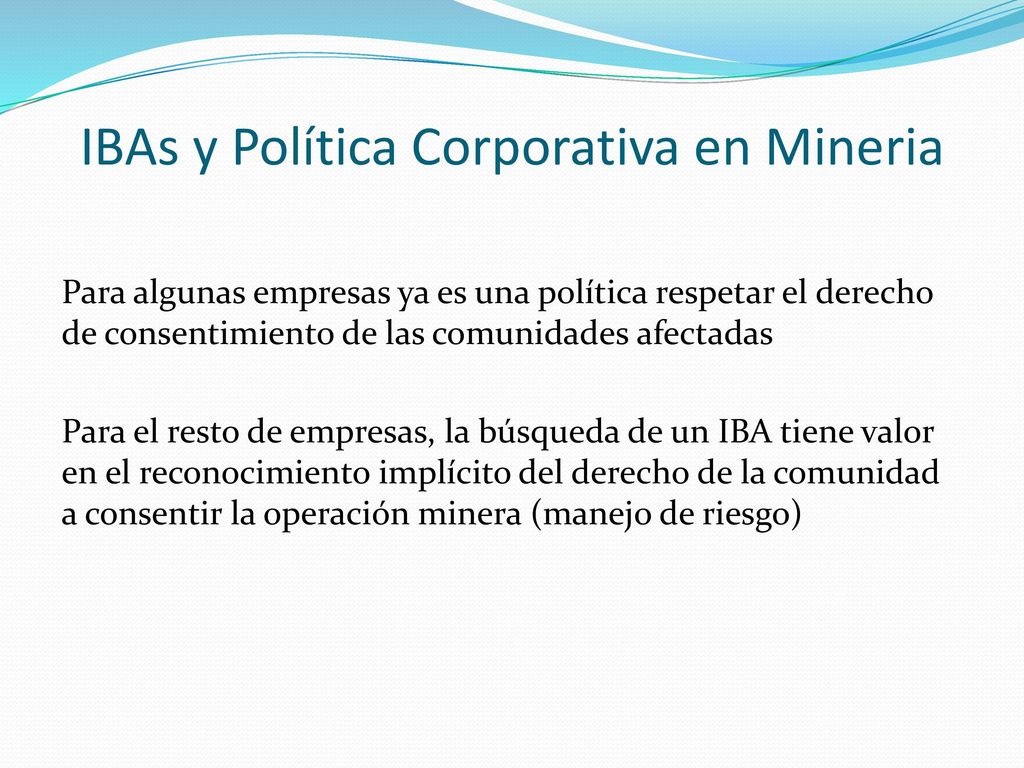 IBAs y Política Corporativa en Mineria