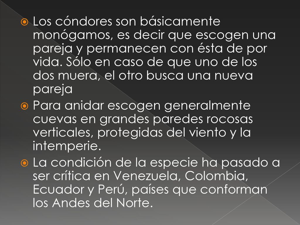Los cóndores son básicamente monógamos, es decir que escogen una pareja y permanecen con ésta de por vida. Sólo en caso de que uno de los dos muera, el otro busca una nueva pareja