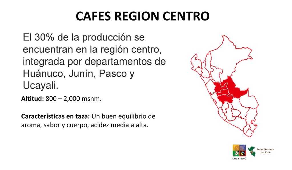 CAFES REGION CENTRO El 30% de la producción se encuentran en la región centro, integrada por departamentos de Huánuco, Junín, Pasco y Ucayali.