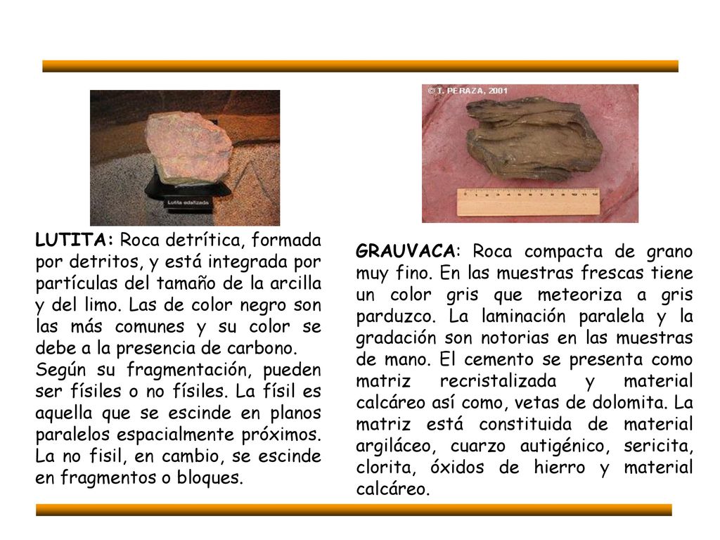 LUTITA: Roca detrítica, formada por detritos, y está integrada por partículas del tamaño de la arcilla y del limo. Las de color negro son las más comunes y su color se debe a la presencia de carbono.
