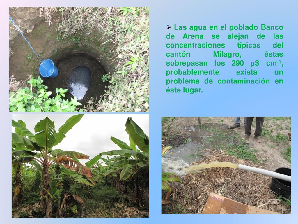 Las agua en el poblado Banco de Arena se alejan de las concentraciones típicas del cantón Milagro, éstas sobrepasan los 290 µS cm-1, probablemente exista un problema de contaminación en éste lugar.