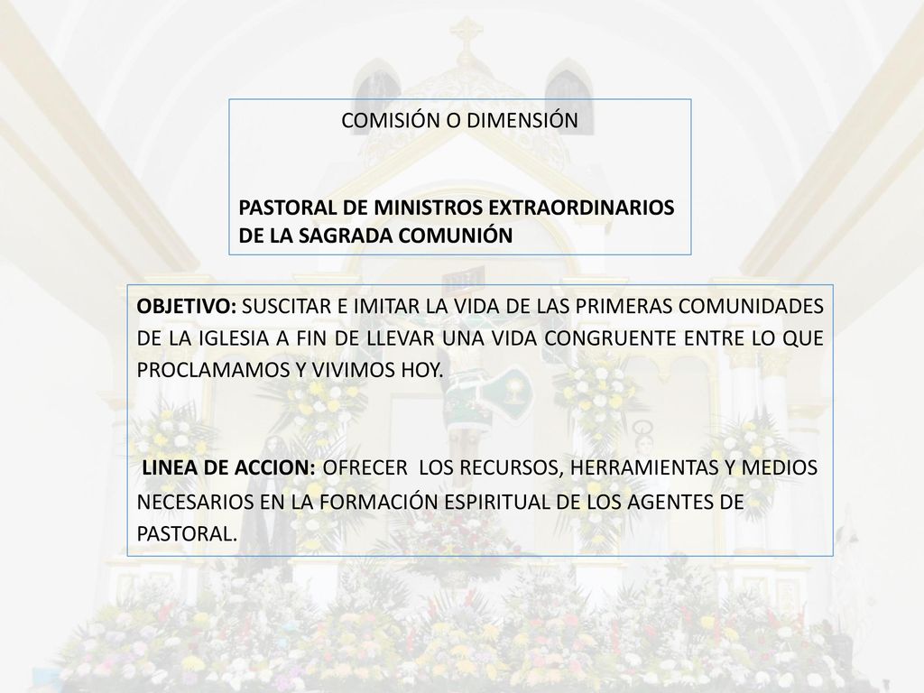 COMISIÓN O DIMENSIÓN PASTORAL DE MINISTROS EXTRAORDINARIOS DE LA SAGRADA COMUNIÓN.
