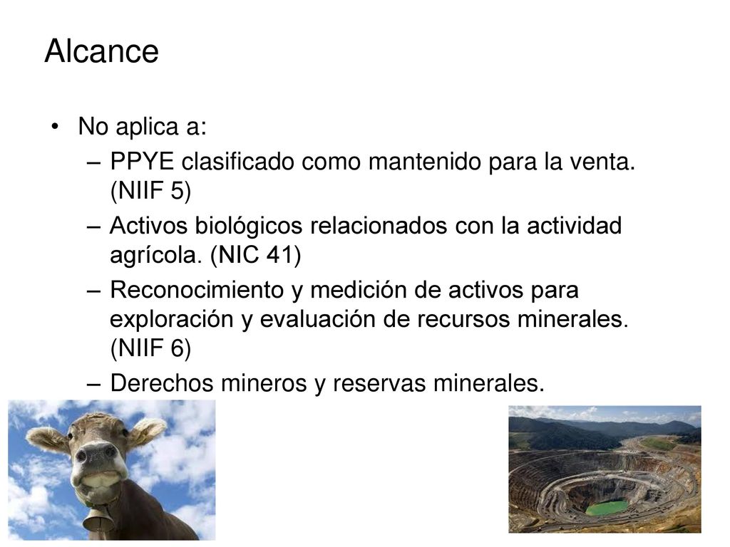 Alcance No aplica a: PPYE clasificado como mantenido para la venta. (NIIF 5) Activos biológicos relacionados con la actividad agrícola. (NIC 41)