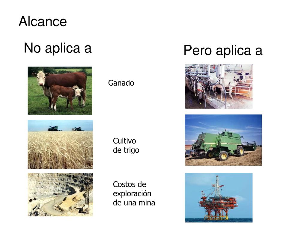 Alcance No aplica a Pero aplica a Ganado Cultivo de trigo