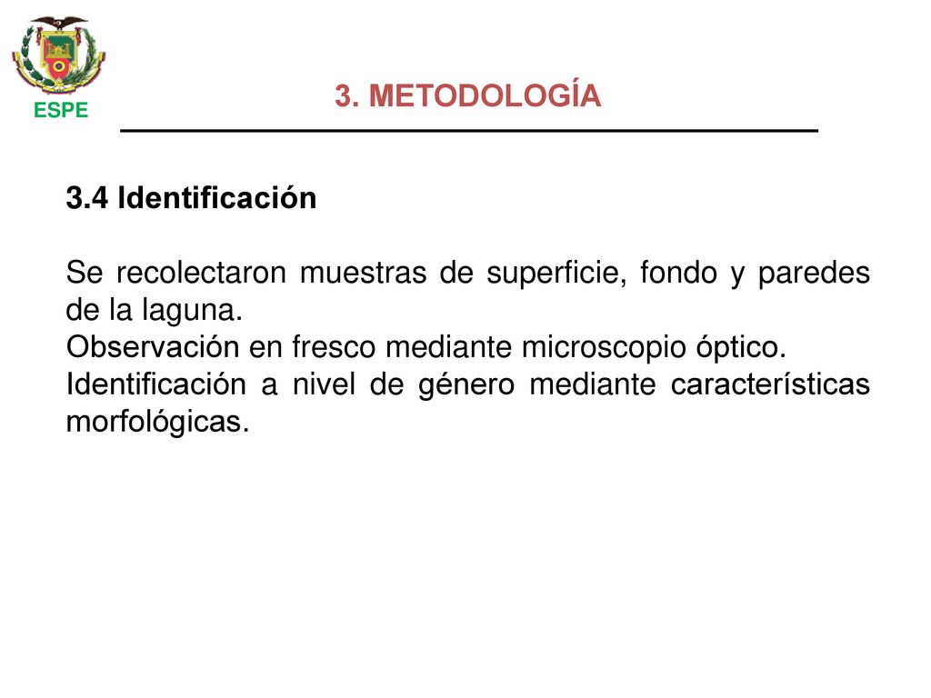 Se recolectaron muestras de superficie, fondo y paredes de la laguna.