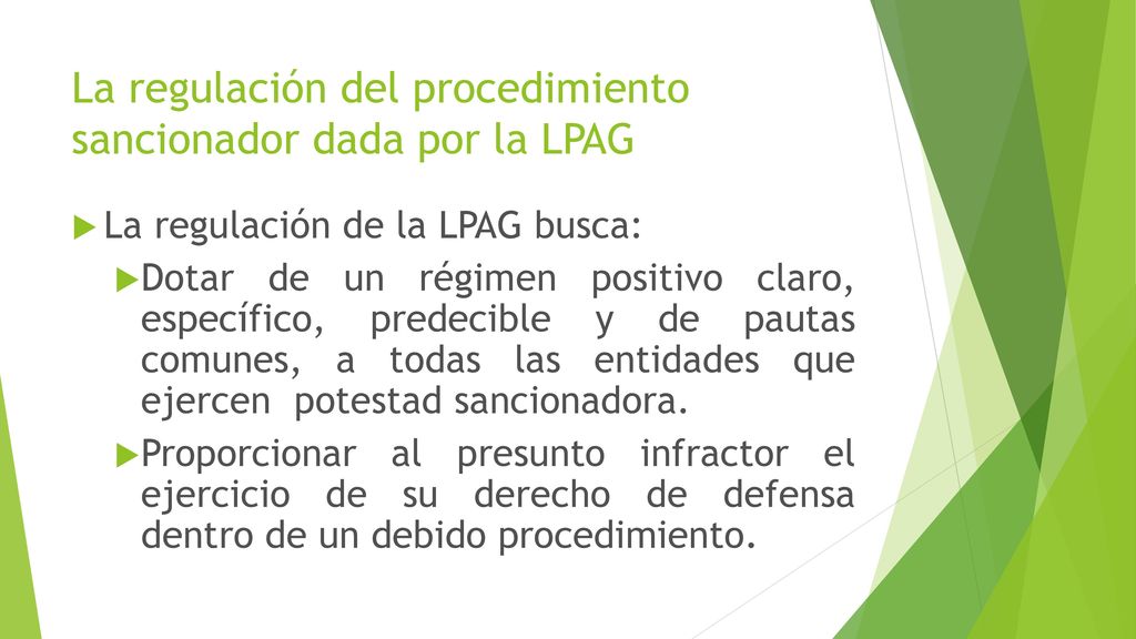 La regulación del procedimiento sancionador dada por la LPAG