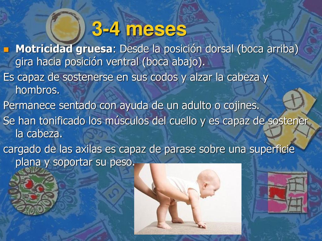 3-4 meses Motricidad gruesa: Desde la posición dorsal (boca arriba) gira hacia posición ventral (boca abajo).