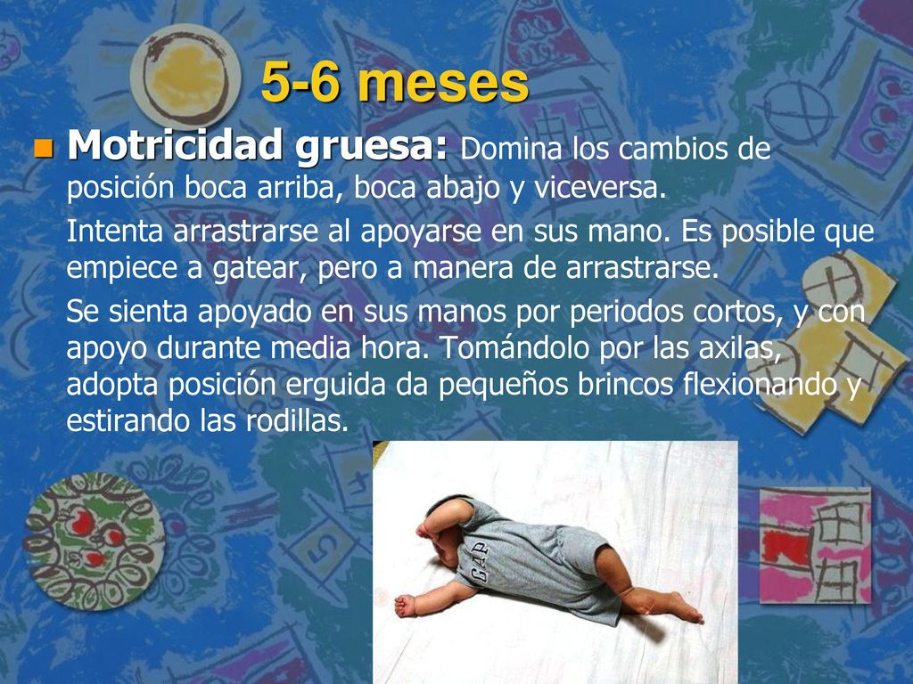 5-6 meses Motricidad gruesa: Domina los cambios de posición boca arriba, boca abajo y viceversa.