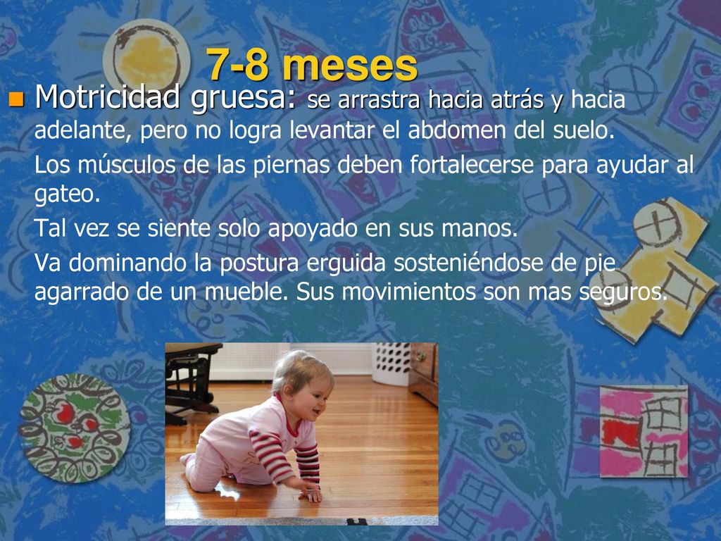 7-8 meses Motricidad gruesa: se arrastra hacia atrás y hacia adelante, pero no logra levantar el abdomen del suelo.