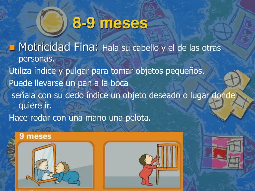 8-9 meses Motricidad Fina: Hala su cabello y el de las otras personas.