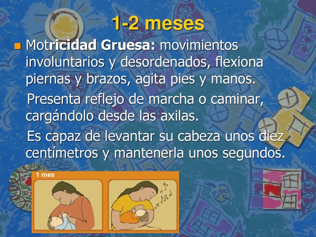 1-2 meses Motricidad Gruesa: movimientos involuntarios y desordenados, flexiona piernas y brazos, agita pies y manos.