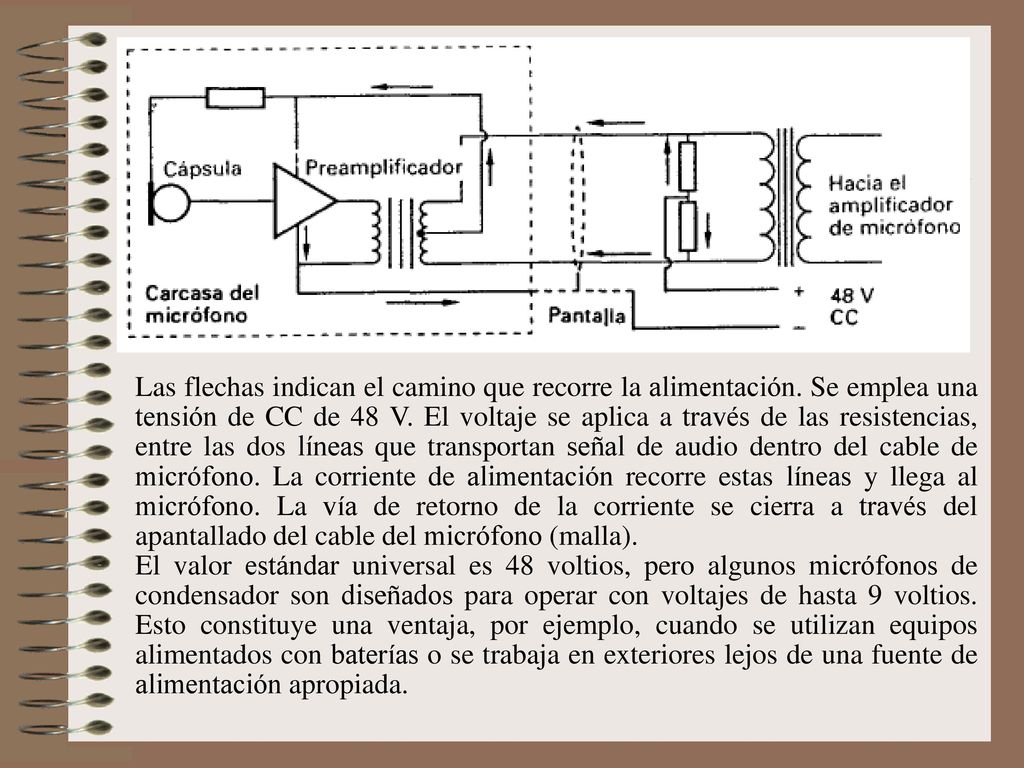 Las flechas indican el camino que recorre la alimentación