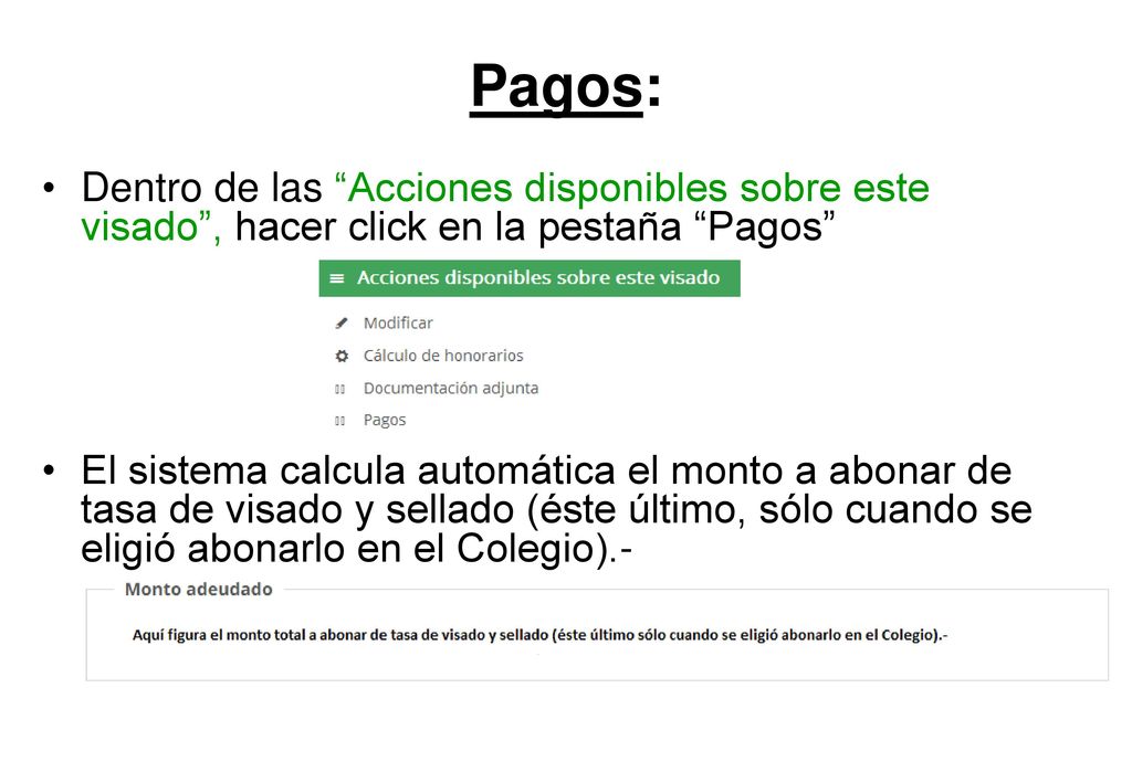 Pagos: Dentro de las Acciones disponibles sobre este visado , hacer click en la pestaña Pagos