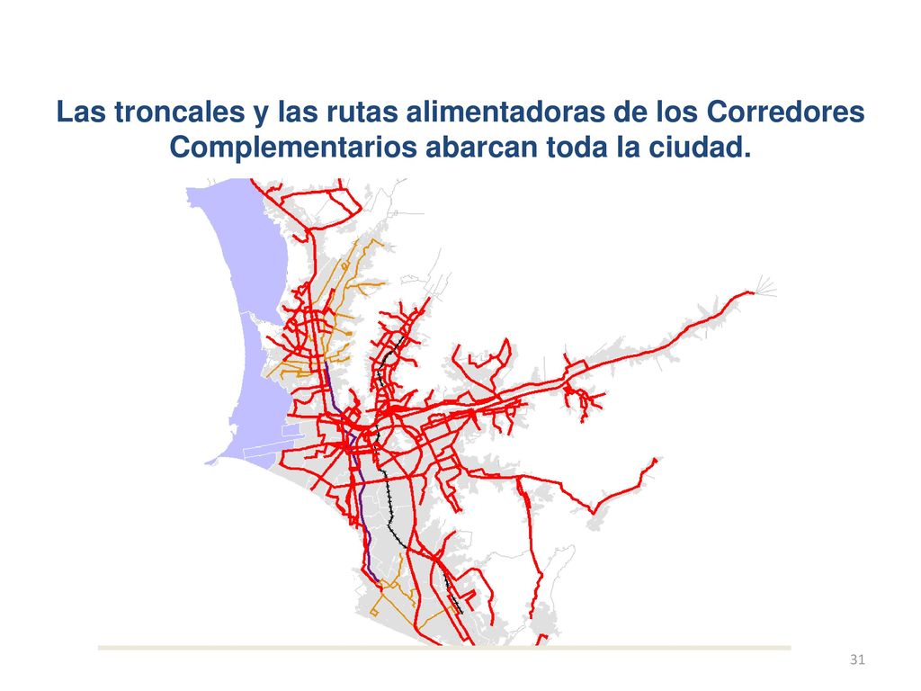 Las troncales y las rutas alimentadoras de los Corredores Complementarios abarcan toda la ciudad.