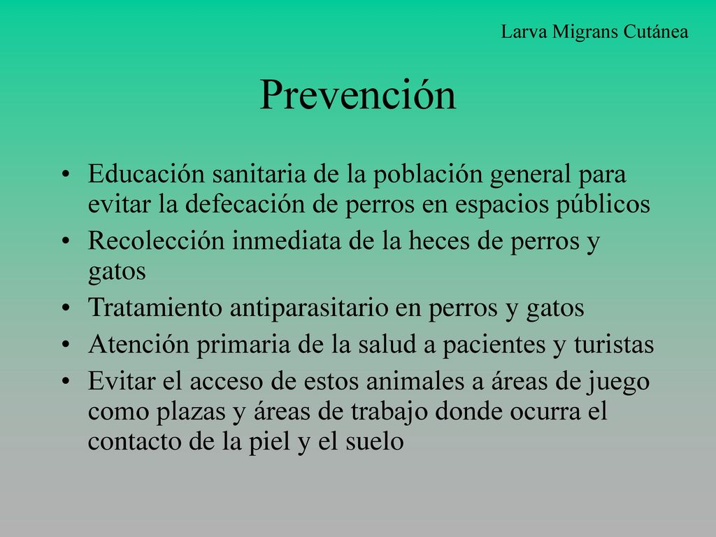 Larva Migrans Cutánea Prevención. Educación sanitaria de la población general para evitar la defecación de perros en espacios públicos.