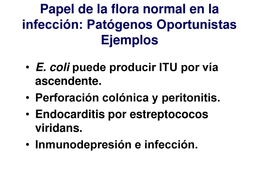 Papel de la flora normal en la infección: Patógenos Oportunistas Ejemplos