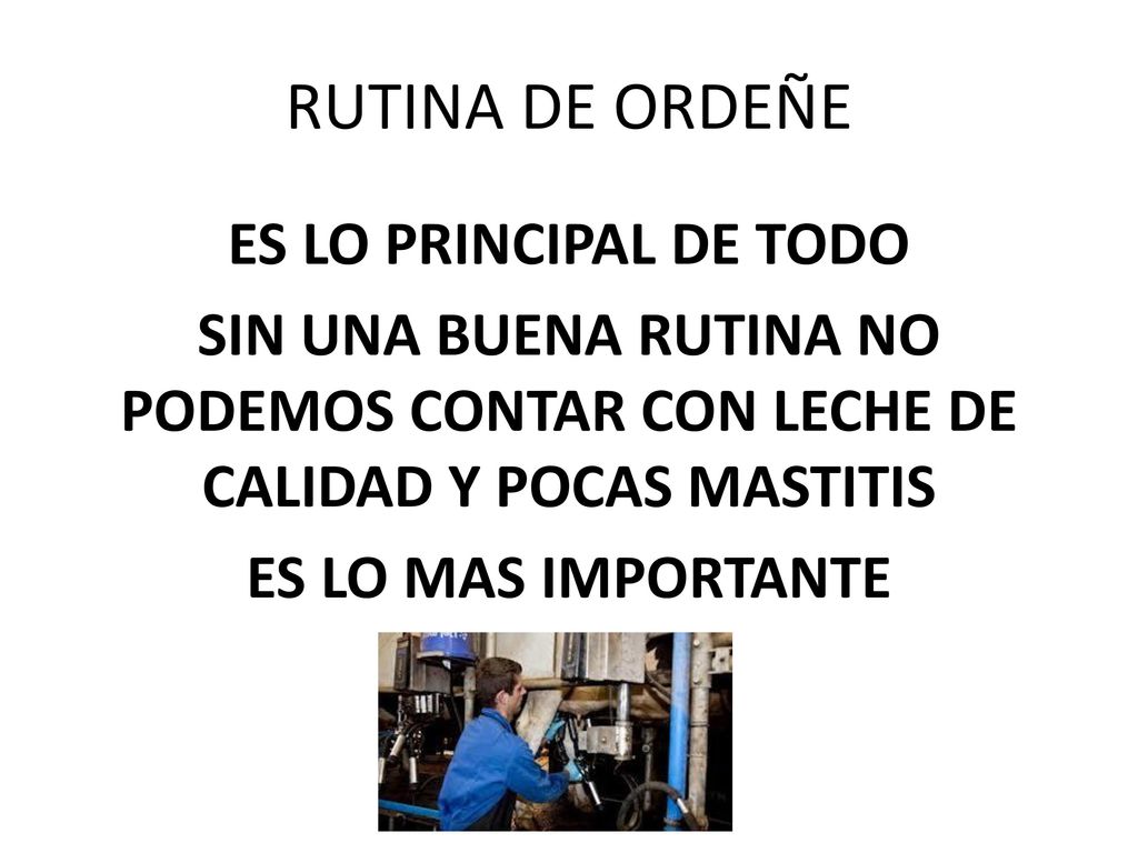 RUTINA DE ORDEÑE ES LO PRINCIPAL DE TODO SIN UNA BUENA RUTINA NO PODEMOS CONTAR CON LECHE DE CALIDAD Y POCAS MASTITIS ES LO MAS IMPORTANTE