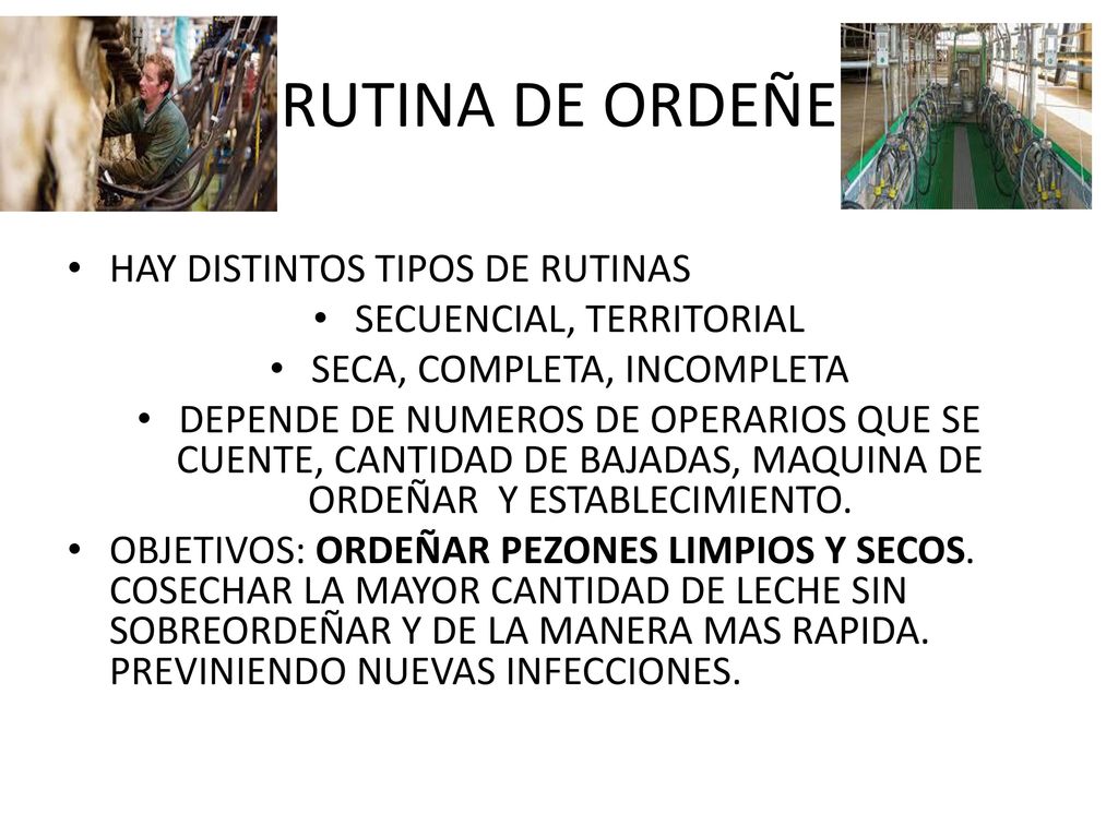 RUTINA DE ORDEÑE HAY DISTINTOS TIPOS DE RUTINAS