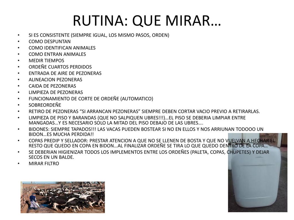 RUTINA: QUE MIRAR… SI ES CONSISTENTE (SIEMPRE IGUAL, LOS MISMO PASOS, ORDEN) COMO DESPUNTAN. COMO IDENTIFICAN ANIMALES.