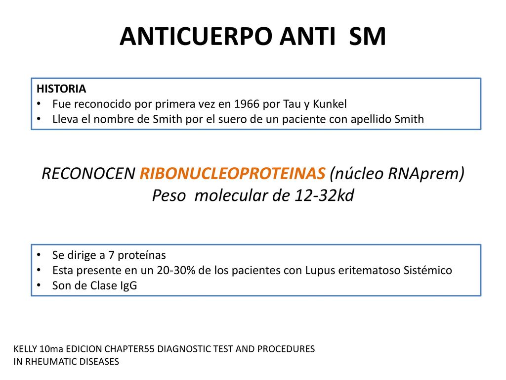ANTICUERPO ANTI SM HISTORIA. Fue reconocido por primera vez en 1966 por Tau y Kunkel.