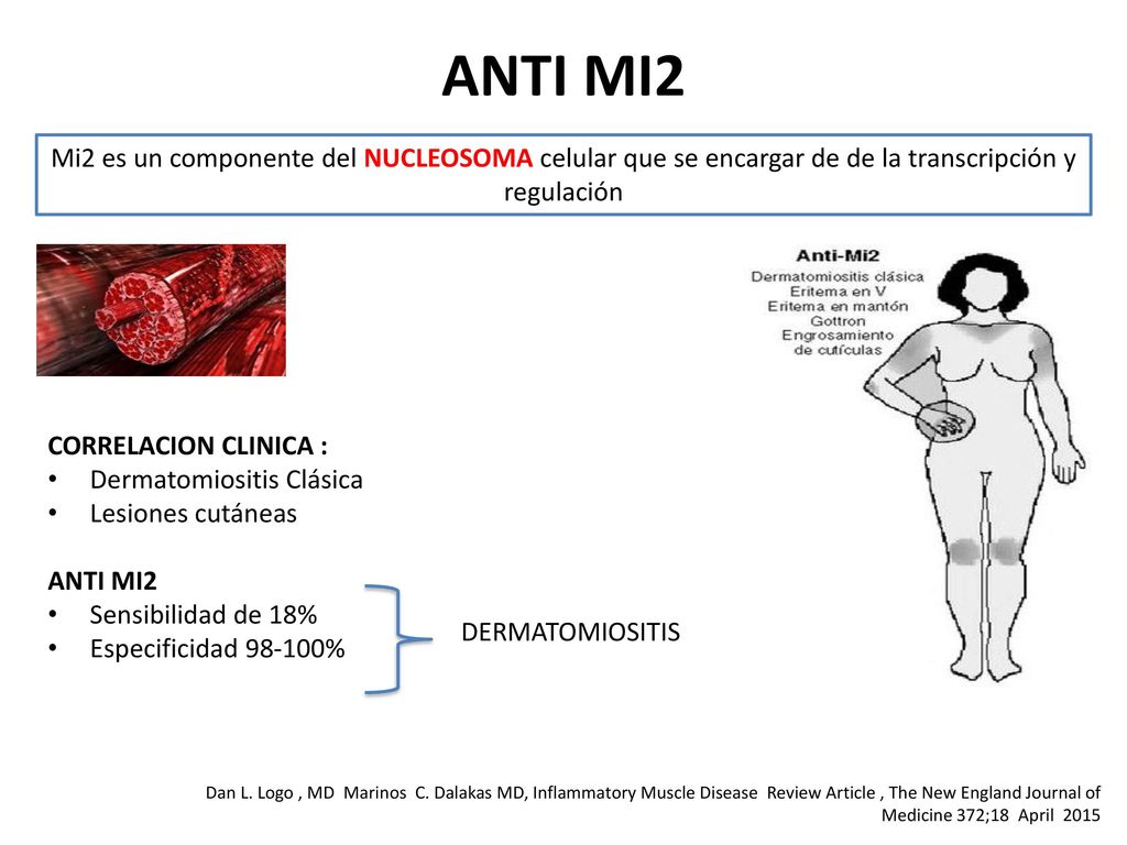 ANTI MI2 Mi2 es un componente del NUCLEOSOMA celular que se encargar de de la transcripción y regulación.