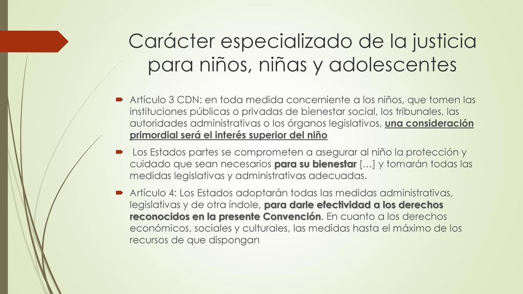 Carácter especializado de la justicia para niños, niñas y adolescentes