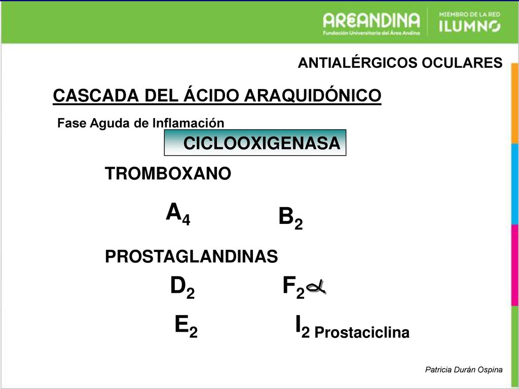 A4 B2 D2 E2 F2 I2 Prostaciclina CASCADA DEL ÁCIDO ARAQUIDÓNICO