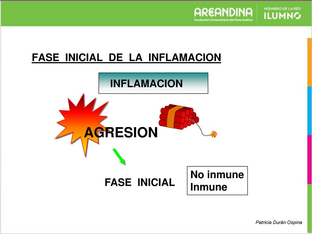 AGRESION FASE INICIAL DE LA INFLAMACION INFLAMACION No inmune Inmune