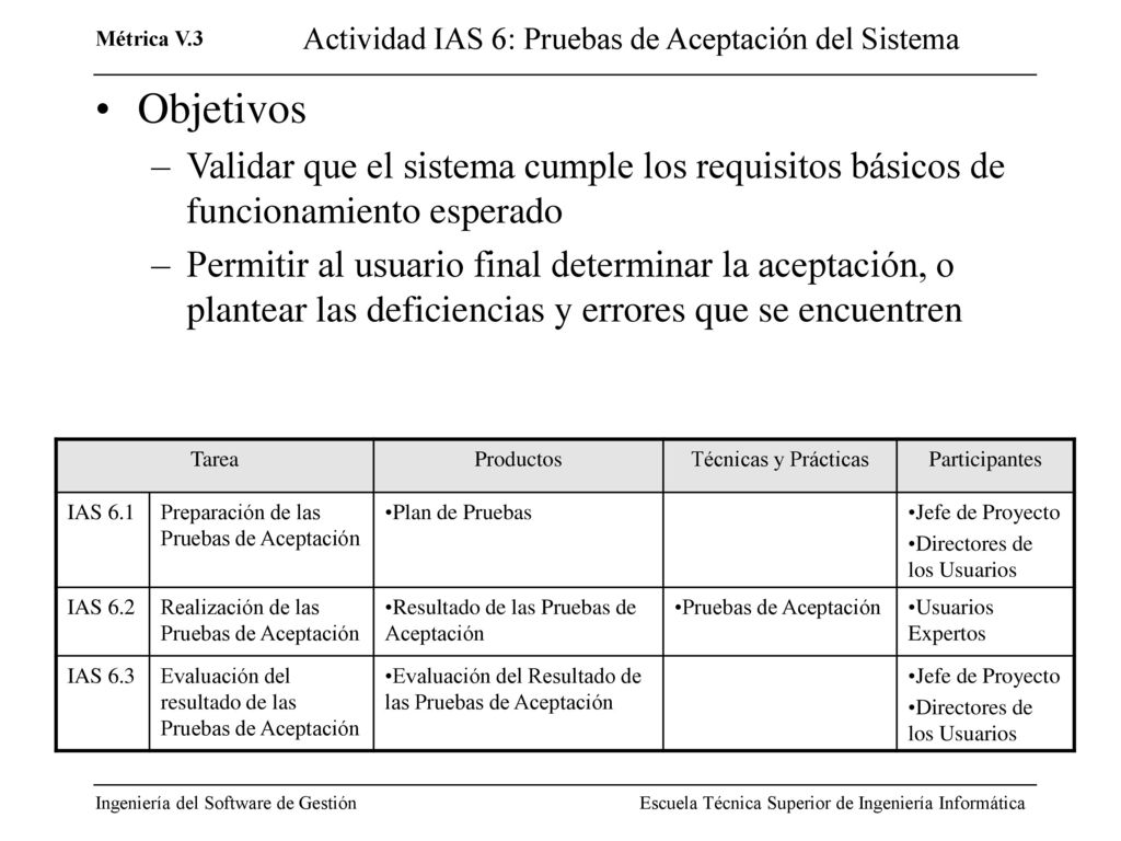 Actividad IAS 6: Pruebas de Aceptación del Sistema