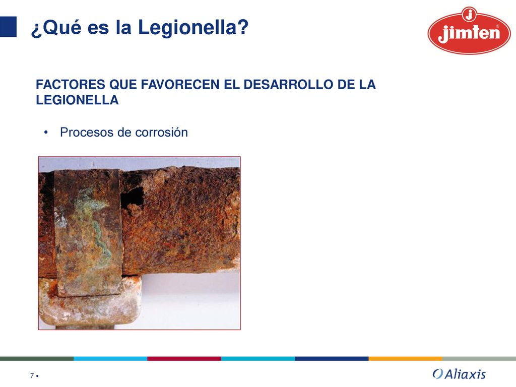 ¿Qué es la Legionella FACTORES QUE FAVORECEN EL DESARROLLO DE LA LEGIONELLA Procesos de corrosión