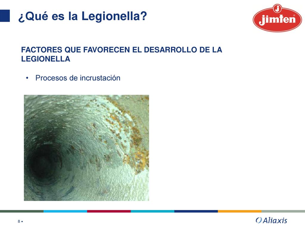 ¿Qué es la Legionella. FACTORES QUE FAVORECEN EL DESARROLLO DE LA LEGIONELLA.