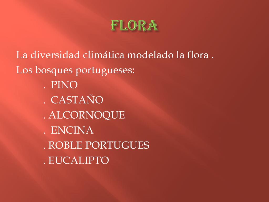 FLORA La diversidad climática modelado la flora . Los bosques portugueses: .