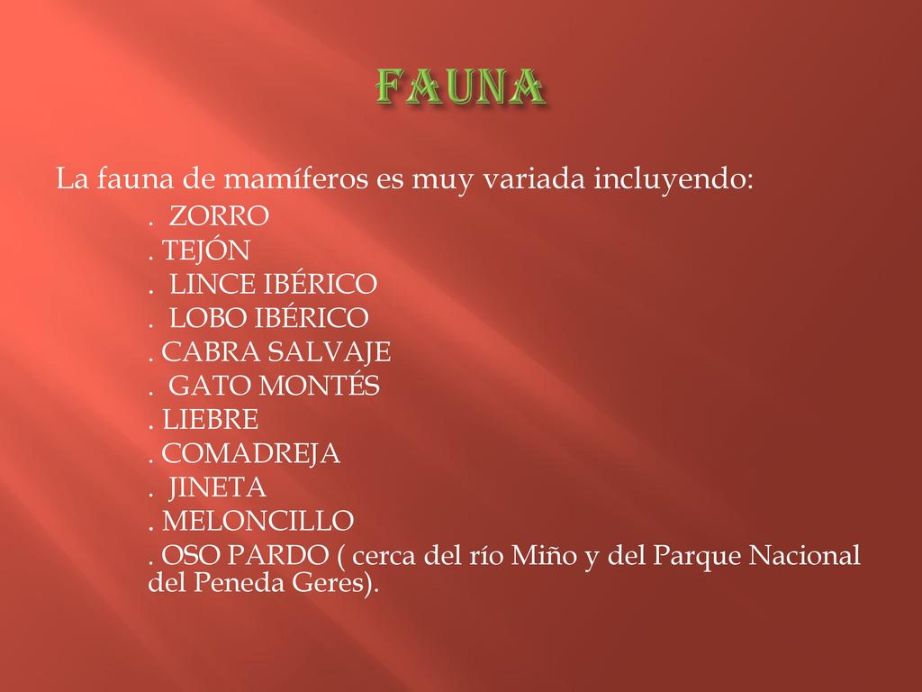 FAUNA La fauna de mamíferos es muy variada incluyendo: . ZORRO . TEJÓN