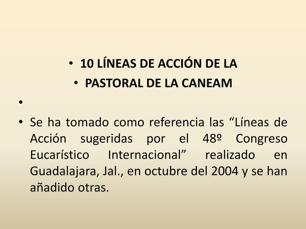 10 LÍNEAS DE ACCIÓN DE LA PASTORAL DE LA CANEAM.