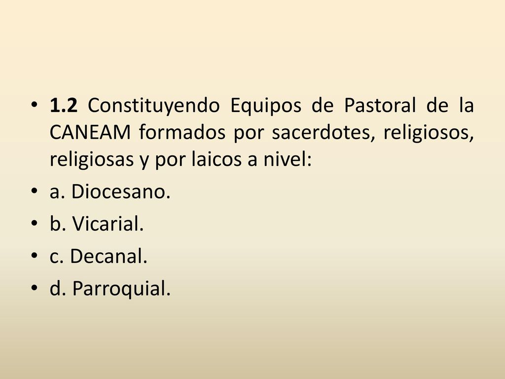 1.2 Constituyendo Equipos de Pastoral de la CANEAM formados por sacerdotes, religiosos, religiosas y por laicos a nivel: