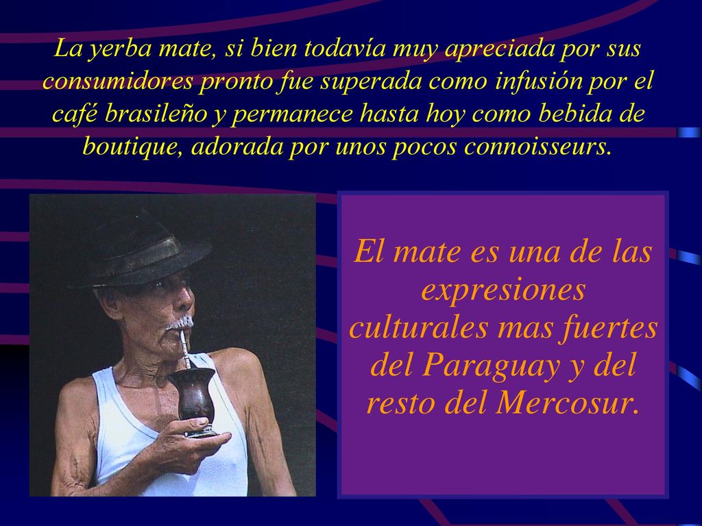 La yerba mate, si bien todavía muy apreciada por sus consumidores pronto fue superada como infusión por el café brasileño y permanece hasta hoy como bebida de boutique, adorada por unos pocos connoisseurs.