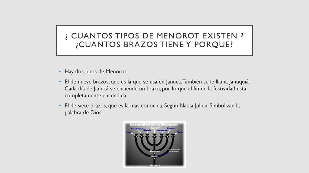 ¿ CUANTOS TIPOS DE MENORot EXISTEN ¿CUANTOS BRAZOs TIENE Y PORQUE