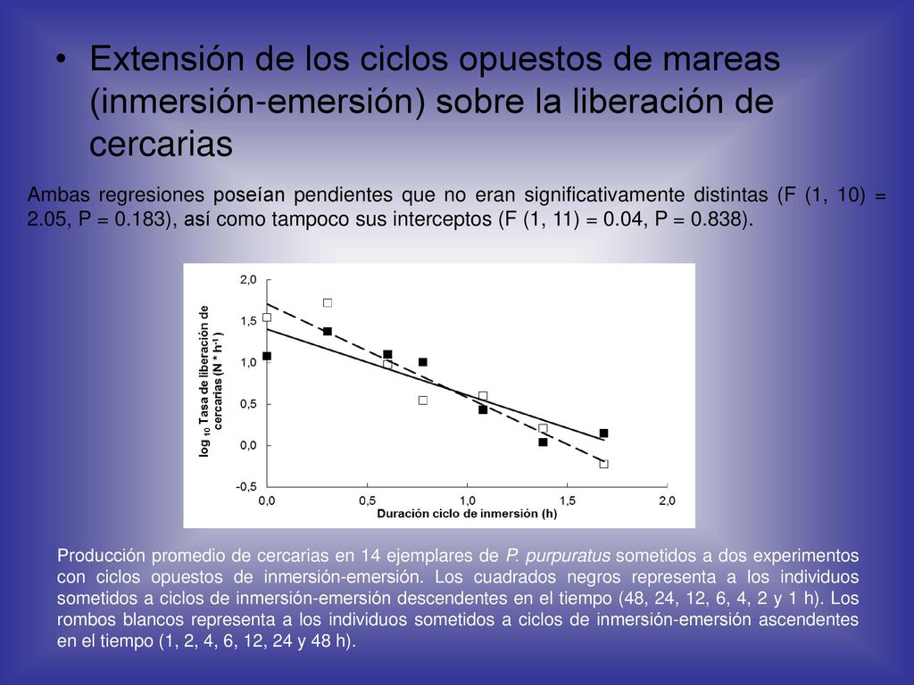 Extensión de los ciclos opuestos de mareas (inmersión-emersión) sobre la liberación de cercarias