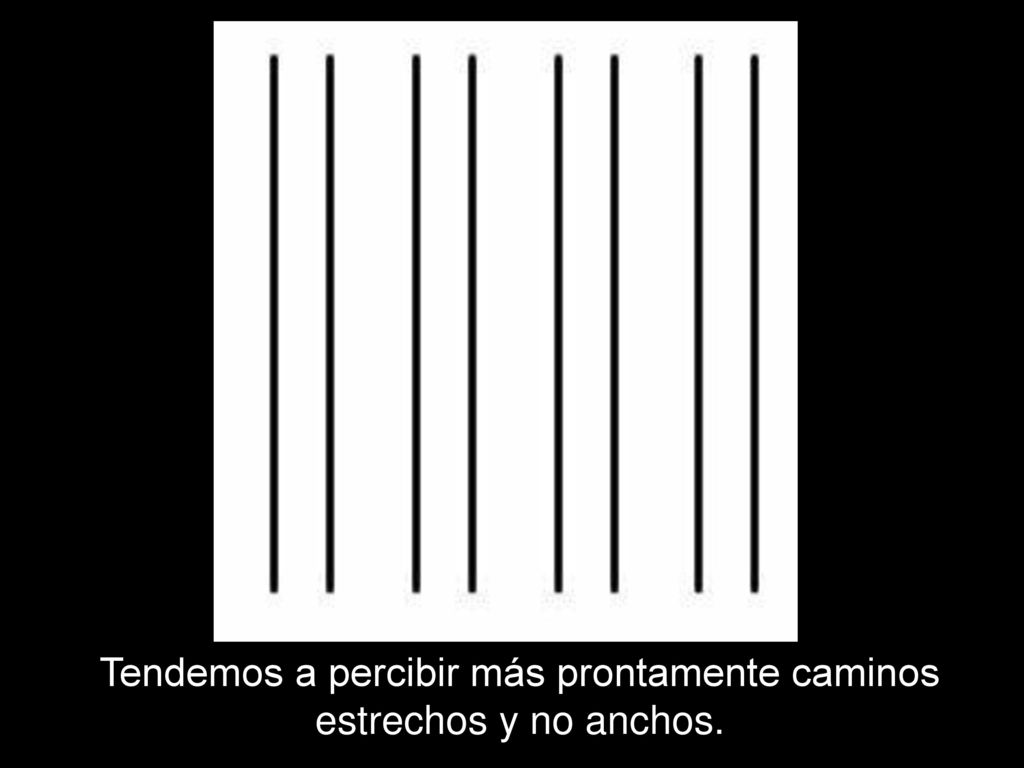 Tendemos a percibir más prontamente caminos estrechos y no anchos.