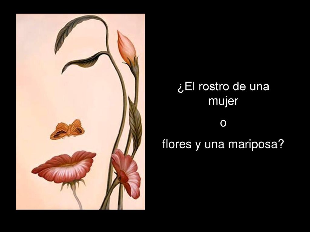 ¿El rostro de una mujer o flores y una mariposa