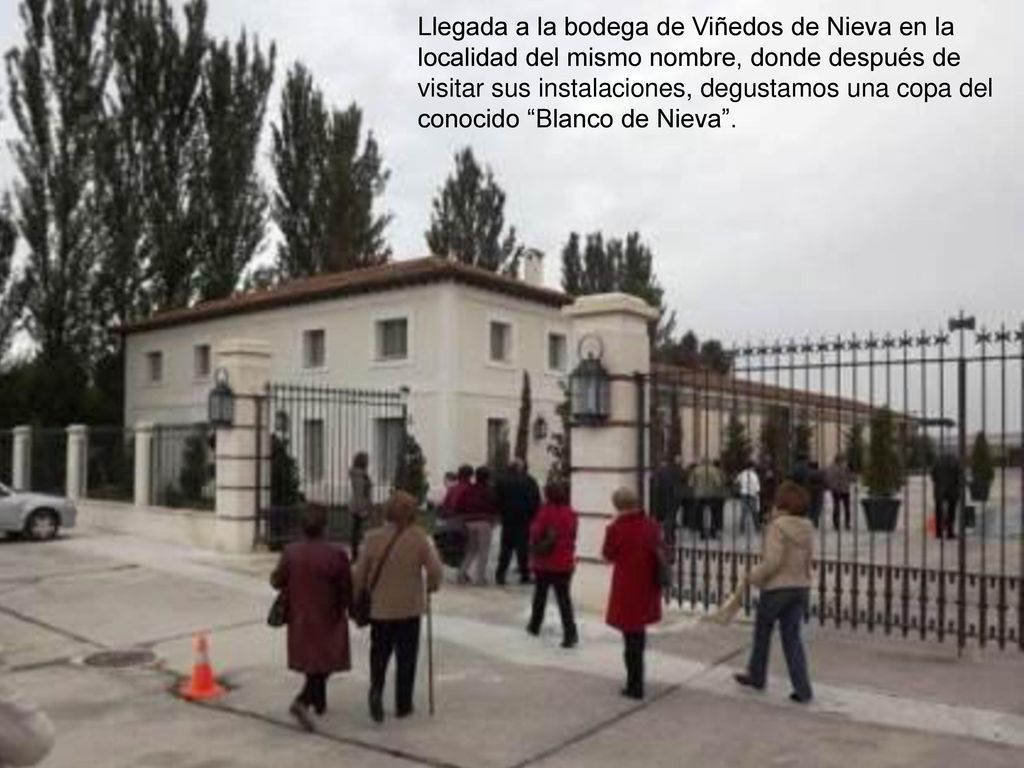 Llegada a la bodega de Viñedos de Nieva en la localidad del mismo nombre, donde después de visitar sus instalaciones, degustamos una copa del conocido Blanco de Nieva .