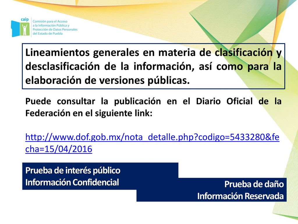 Lineamientos generales en materia de clasificación y desclasificación de la información, así como para la elaboración de versiones públicas.