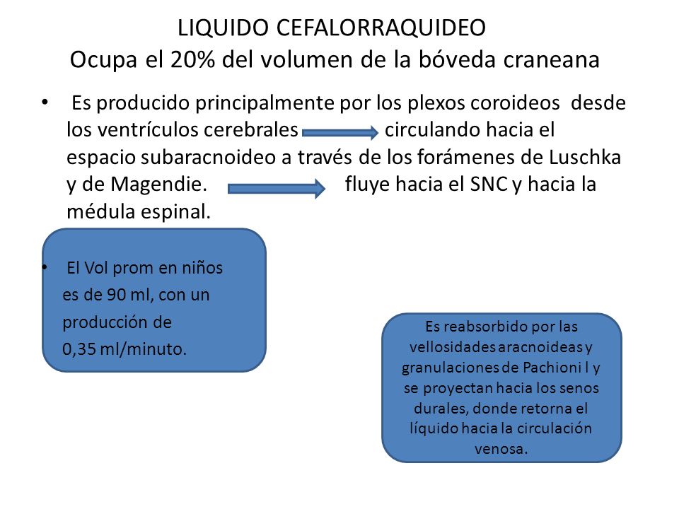 LIQUIDO CEFALORRAQUIDEO Ocupa el 20% del volumen de la bóveda craneana