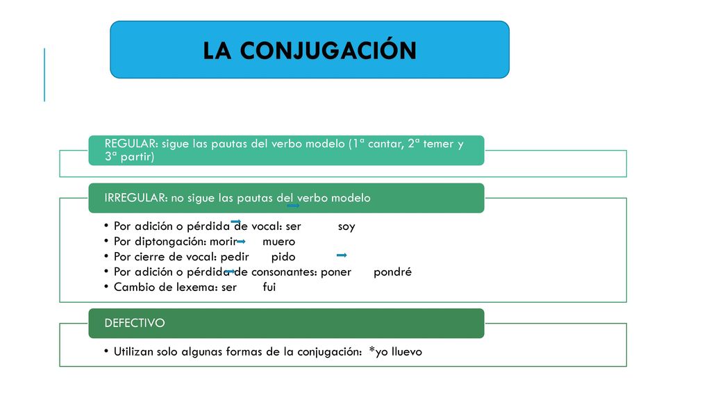 LA CONJUGACIÓN REGULAR: sigue las pautas del verbo modelo (1ª cantar, 2ª temer y 3ª partir) Por adición o pérdida de vocal: ser soy.